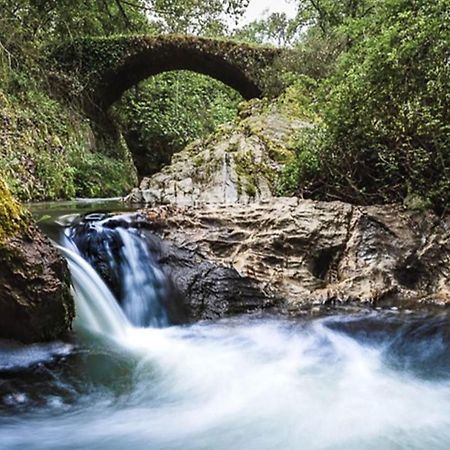 Finca Charco La Olla خابوغو المظهر الخارجي الصورة
