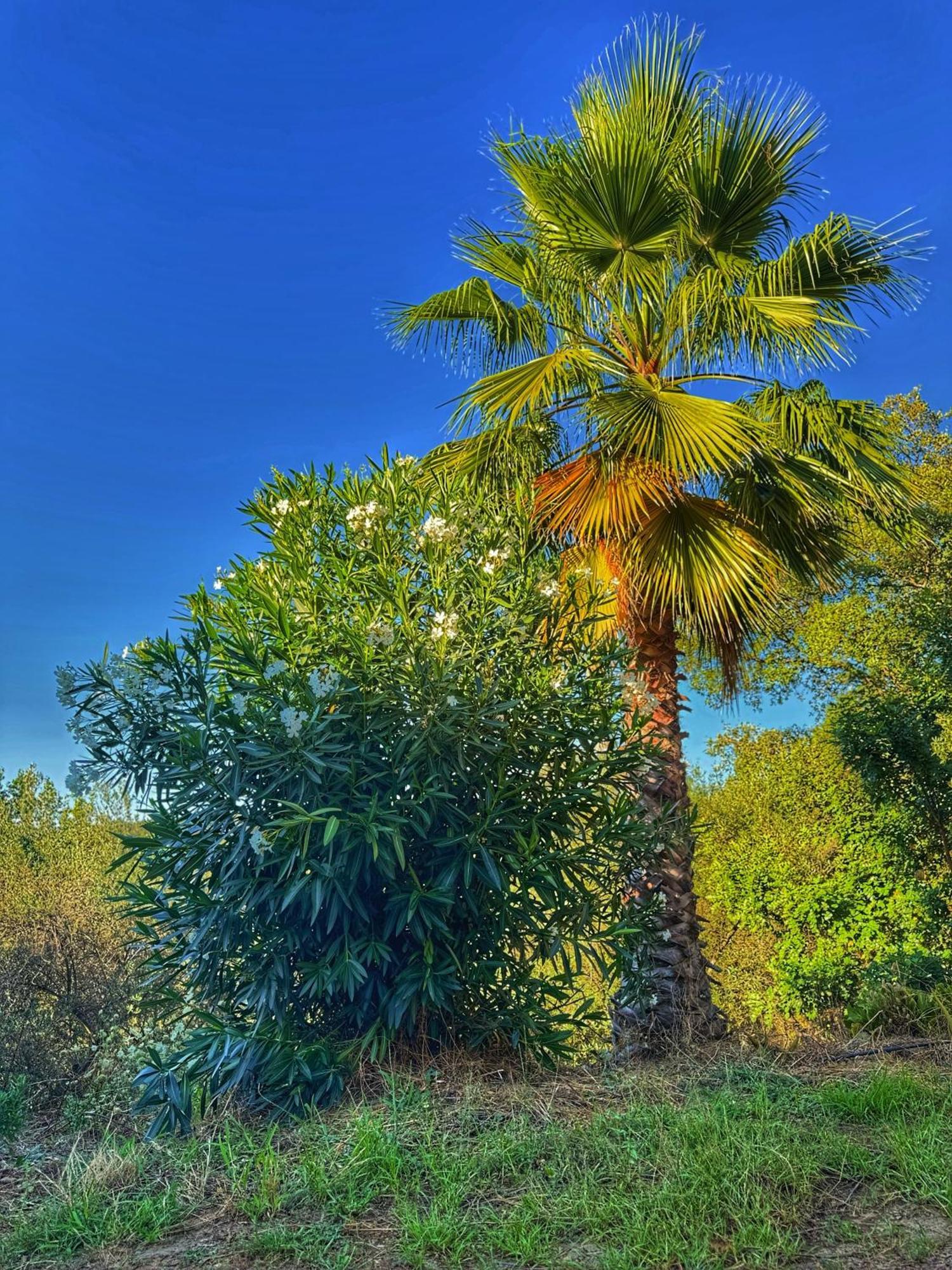 Finca Charco La Olla خابوغو المظهر الخارجي الصورة