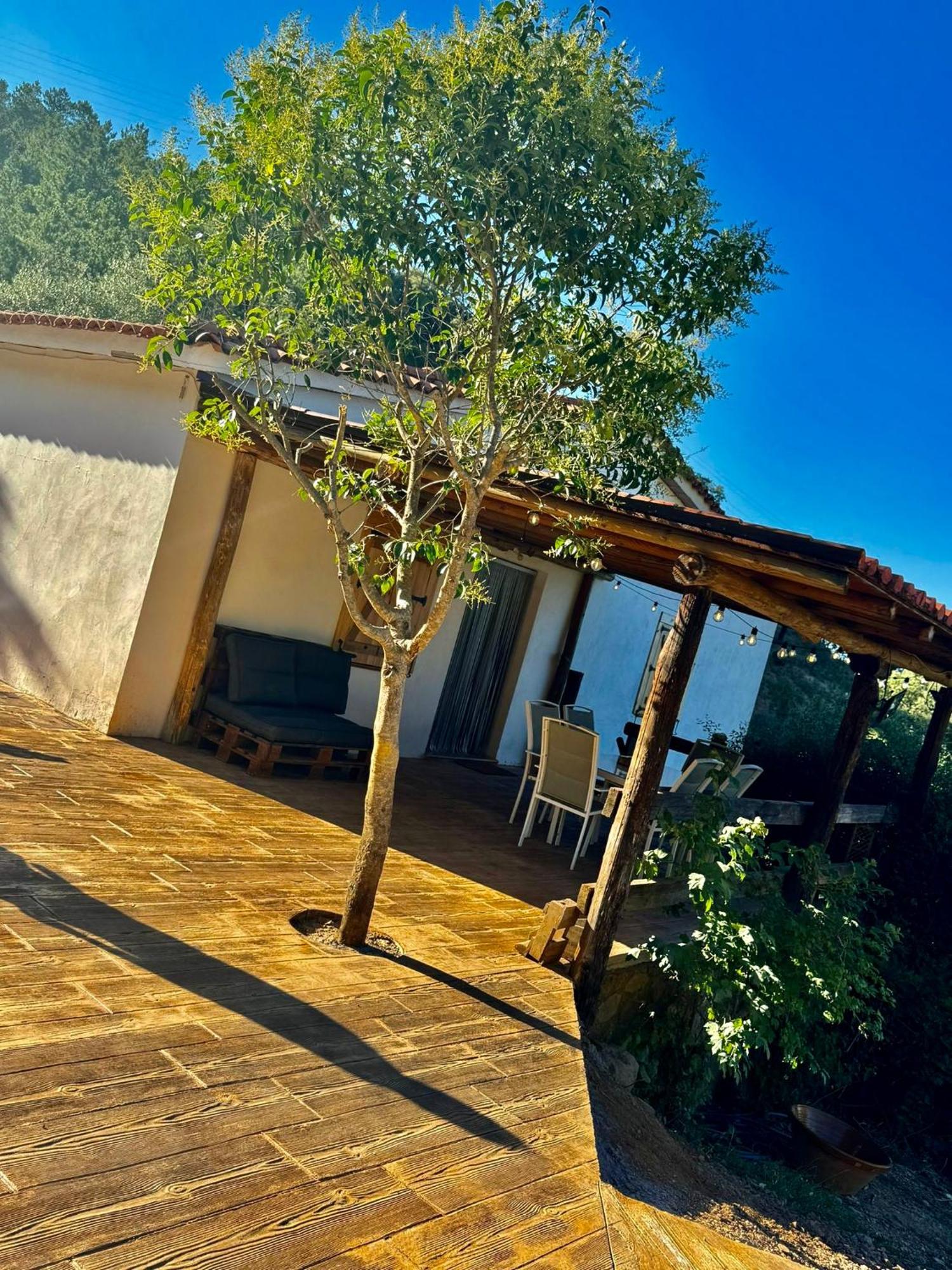 Finca Charco La Olla خابوغو المظهر الخارجي الصورة